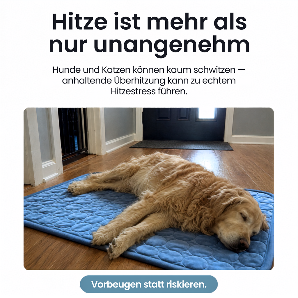 Kühlplatz - Kühlungsmatte für Hunde & Katzen