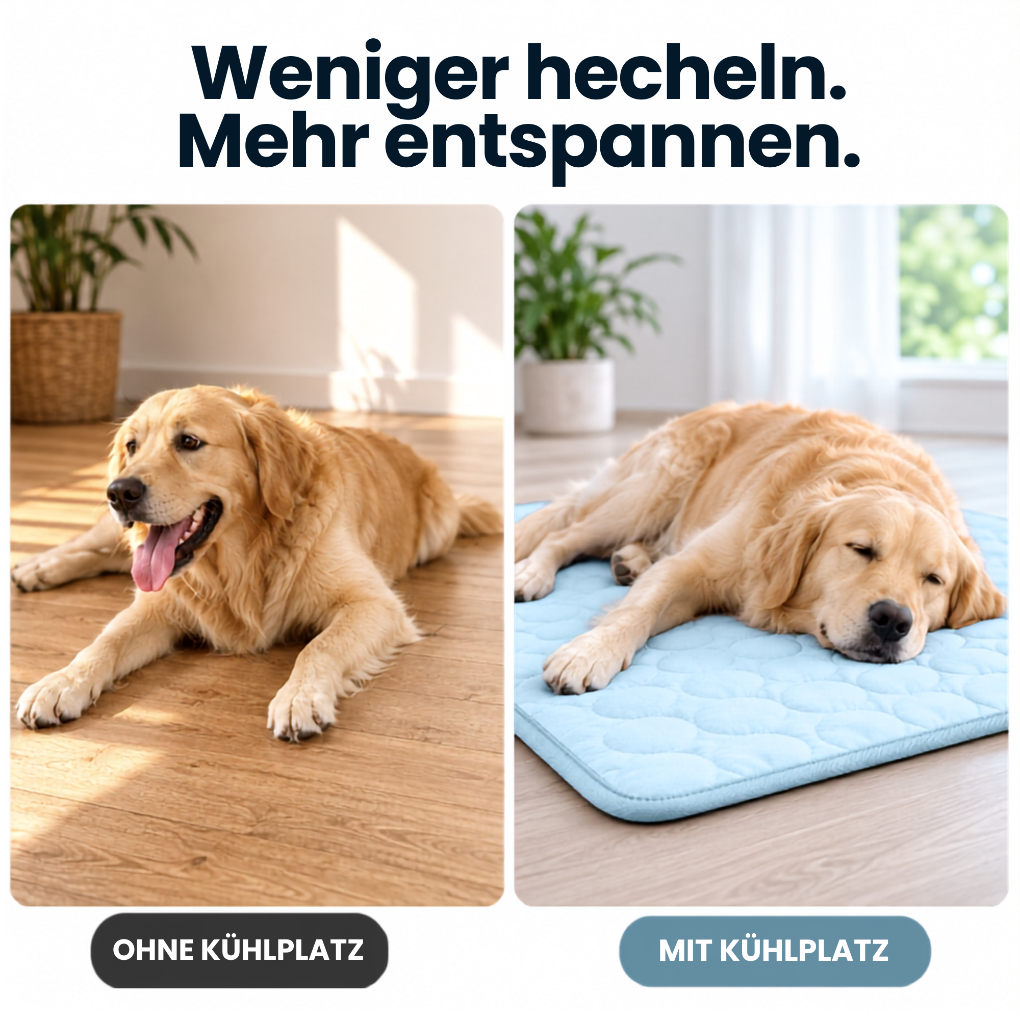 Kühlplatz - Kühlungsmatte für Hunde & Katzen